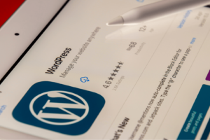 WordPress Website Theme