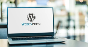 WordPress Theme for Site