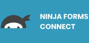 WP-CRM System Ninja Forms Connect